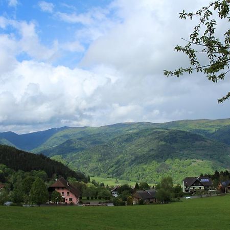 Отель Les 4 Saisons Kruth Экстерьер фото