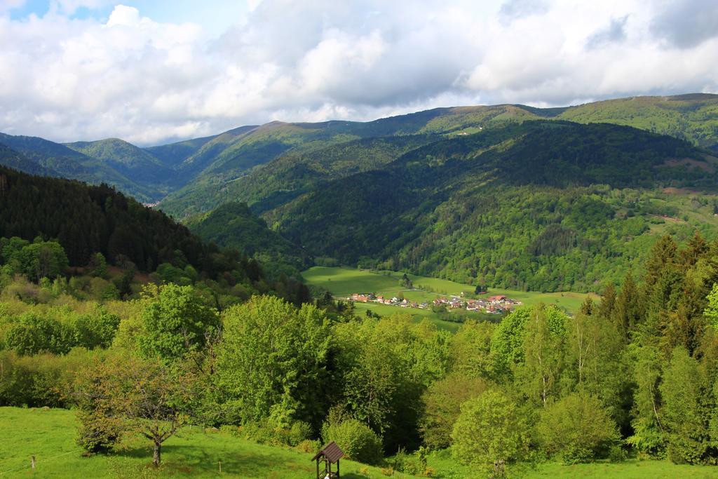 Отель Les 4 Saisons Kruth Экстерьер фото